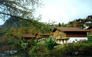 Bild von Alpenhaus Mitterdorfer
